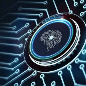 Time Zone and Locale Normalization
